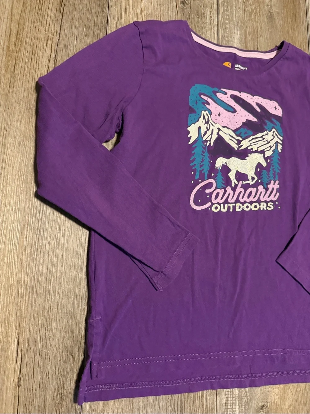 Carhartt Purple Long Sleeve Tee with Pink, Teal, White Graphic